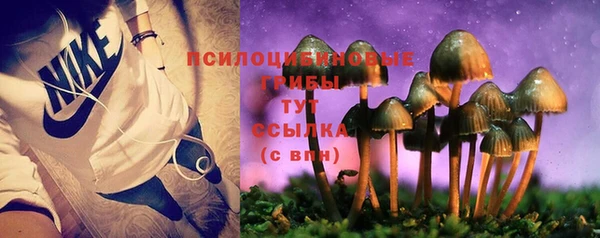 первитин Арсеньев