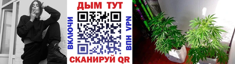 Бошки Шишки THC 21% Крым